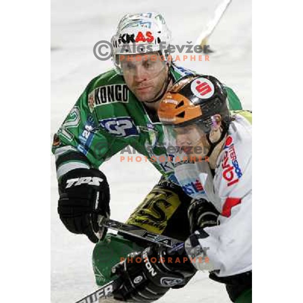 Kuznik at ice-hockey match ZM Olimpija- Innsbruck in EBEL league , played in Ljubljana (Slovenia) 11.11.2007. Photo by Ales Fevzer 