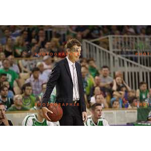 Gasper Okorn, head coach of Union Olimpija in action during second match in the Final series of Nova KBM league basketball match between Union Olimpija and Rogaska in Ljubljana on May 19, 2017