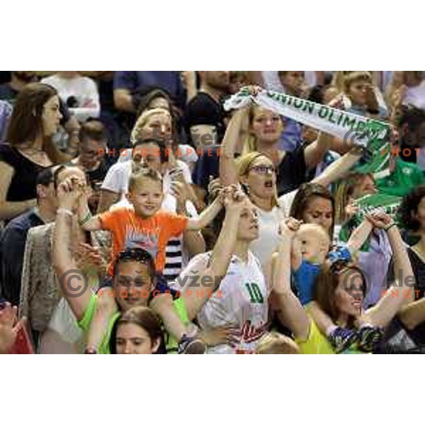 Fans of Union Olimpija in action during second match in the Final series of Nova KBM league basketball match between Union Olimpija and Rogaska in Ljubljana on May 19, 2017