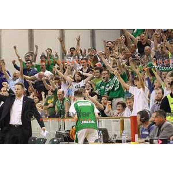 Fans of Union Olimpija in action during second match in the Final series of Nova KBM league basketball match between Union Olimpija and Rogaska in Ljubljana on May 19, 2017