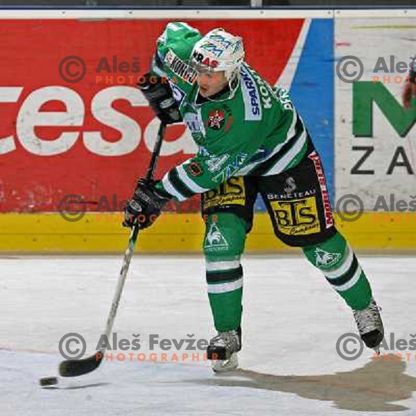 Kontrec at ice-hockey match ZM Olimpija- Alba Volan in EBEL league , played in Ljubljana (Slovenia) 31.11.2007. Photo by Ales Fevzer 