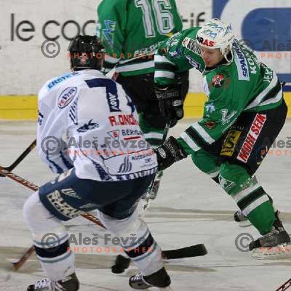 Kontrec at ice-hockey match ZM Olimpija- Alba Volan in EBEL league , played in Ljubljana (Slovenia) 31.11.2007. Photo by Ales Fevzer 