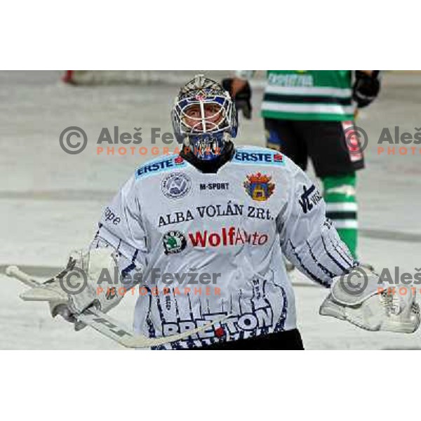 Budai at ice-hockey match ZM Olimpija- Alba Volan in EBEL league , played in Ljubljana (Slovenia) 31.11.2007. Photo by Ales Fevzer 