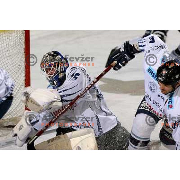 Budai at ice-hockey match ZM Olimpija- Alba Volan in EBEL league , played in Ljubljana (Slovenia) 31.11.2007. Photo by Ales Fevzer 