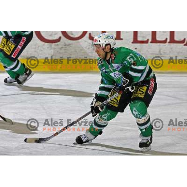 Corupe at ice-hockey match ZM Olimpija- Alba Volan in EBEL league , played in Ljubljana (Slovenia) 31.11.2007. Photo by Ales Fevzer 