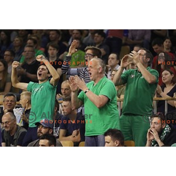 in action during fourth match in the Final series of Nova KBM league basketball match between Union Olimpija and Rogaska in Ljubljana on May 24, 2017