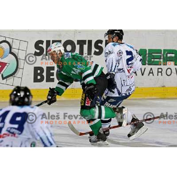 Kontrec at ice-hockey match ZM Olimpija- Alba Volan in EBEL league , played in Ljubljana (Slovenia) 31.11.2007. Photo by Ales Fevzer 