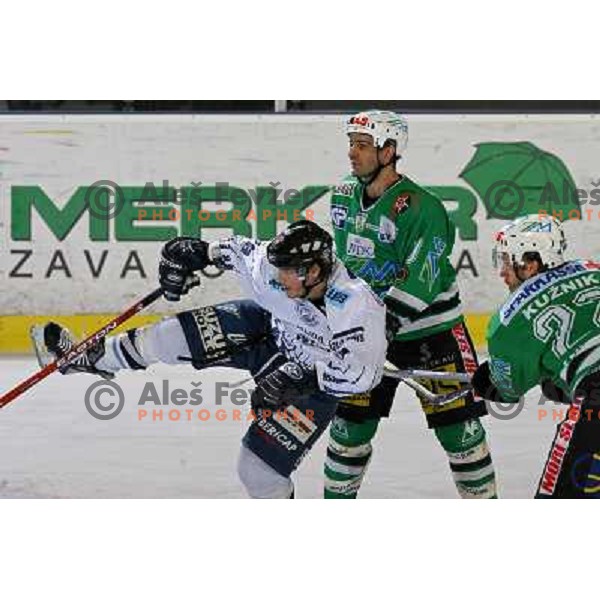 Intranuovo and Kuznik at ice-hockey match ZM Olimpija- Alba Volan in EBEL league , played in Ljubljana (Slovenia) 31.11.2007. Photo by Ales Fevzer 