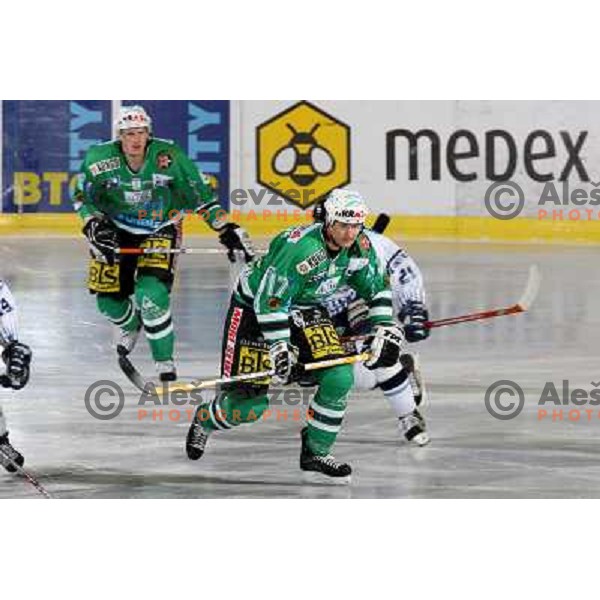 Zupancic at ice-hockey match ZM Olimpija- Alba Volan in EBEL league , played in Ljubljana (Slovenia) 31.11.2007. Photo by Ales Fevzer 