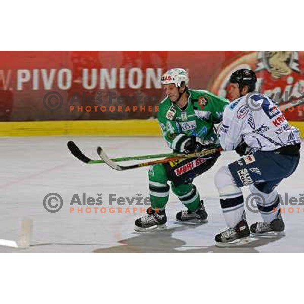 Vnuk at ice-hockey match ZM Olimpija- Alba Volan in EBEL league , played in Ljubljana (Slovenia) 31.11.2007. Photo by Ales Fevzer 