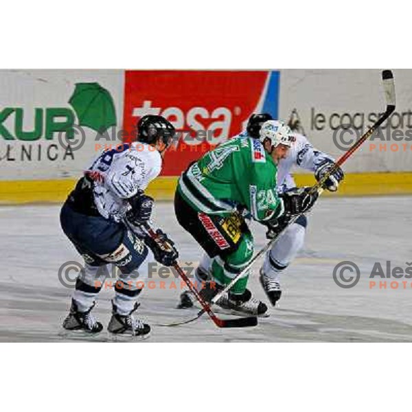 Vnuk at ice-hockey match ZM Olimpija- Alba Volan in EBEL league , played in Ljubljana (Slovenia) 31.11.2007. Photo by Ales Fevzer 