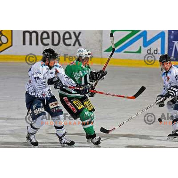 Vnuk at ice-hockey match ZM Olimpija- Alba Volan in EBEL league , played in Ljubljana (Slovenia) 31.11.2007. Photo by Ales Fevzer 