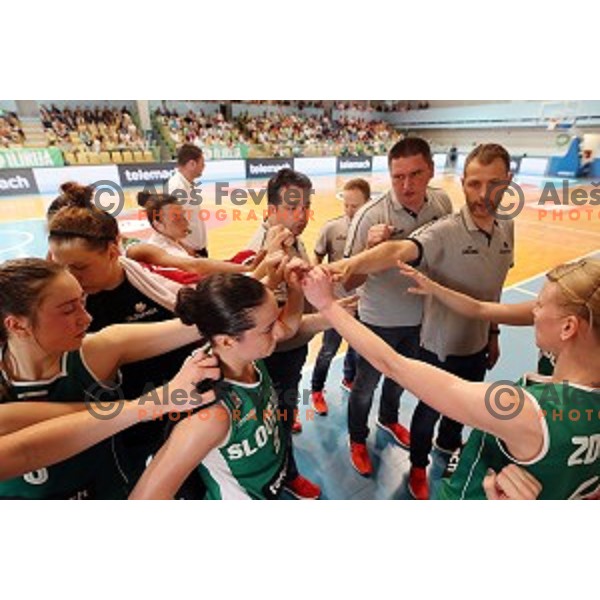 Damir Grgic in action during friendly women\'s basketball match between Slovenia and Poland in Jezica Hall, Ljubljana on May 27, 2017