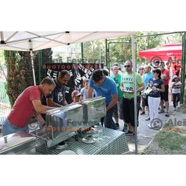 Union Olimpija club day and picnic in Tivoli park, Ljubljana, Slovenia on May 28, 2017