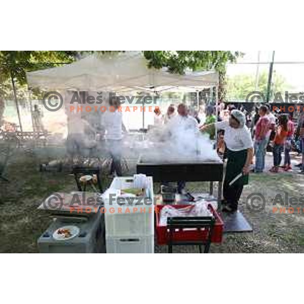 Union Olimpija club day and picnic in Tivoli park, Ljubljana, Slovenia on May 28, 2017