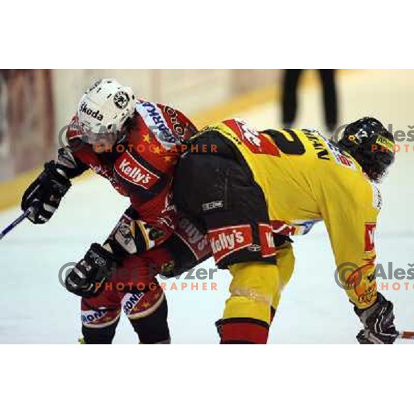 Poloncic (46) and David Rodman (12) at ice-hoceky match Acroni Jesenice- Vienna capitals in 21st round of Ebel league,played in Jesenice (Slovenia) 16.11.2007. Photo by Ales Fevzer 