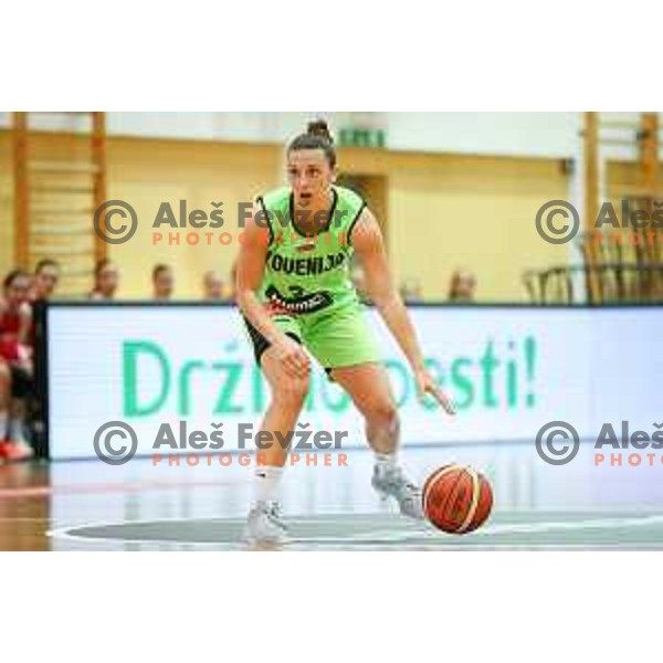 of team Slovenia in action during friendly basketball match between Slovenia - Croatia, played in Celje, Slovenia on June 1st, 2017