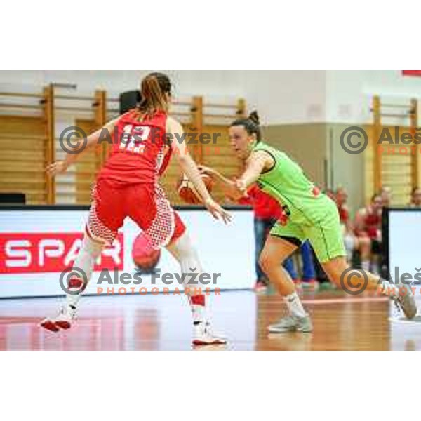 of team Slovenia in action during friendly basketball match between Slovenia - Croatia, played in Celje, Slovenia on June 1st, 2017
