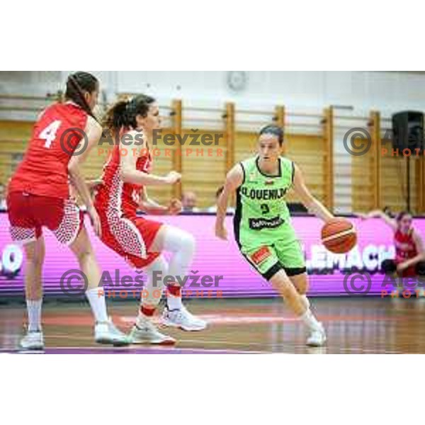 of team Slovenia in action during friendly basketball match between Slovenia - Croatia, played in Celje, Slovenia on June 1st, 2017