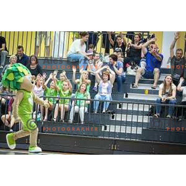 Lipko and fans during friendly basketball match between Slovenia - Croatia, played in Celje, Slovenia on June 1st, 2017