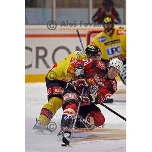 Matthiasson at ice-hoceky match Acroni Jesenice- Vienna capitals in 21st round of Ebel league,played in Jesenice (Slovenia) 16.11.2007. Photo by Ales Fevzer 