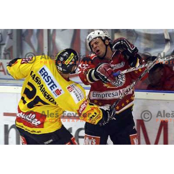 Casparsson at ice-hoceky match Acroni Jesenice- Vienna capitals in 21st round of Ebel league,played in Jesenice (Slovenia) 16.11.2007. Photo by Ales Fevzer 