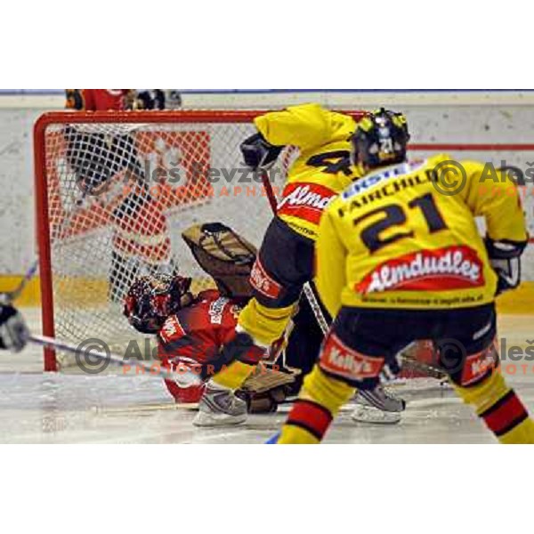 Kristan at ice-hoceky match Acroni Jesenice- Vienna capitals in 21st round of Ebel league,played in Jesenice (Slovenia) 16.11.2007. Photo by Ales Fevzer 