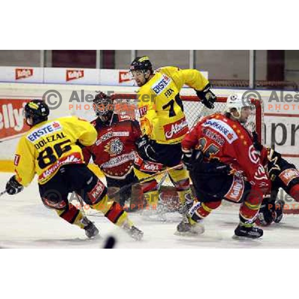 Kristan and Fox at ice-hoceky match Acroni Jesenice- Vienna capitals in 21st round of Ebel league,played in Jesenice (Slovenia) 16.11.2007. Photo by Ales Fevzer 
