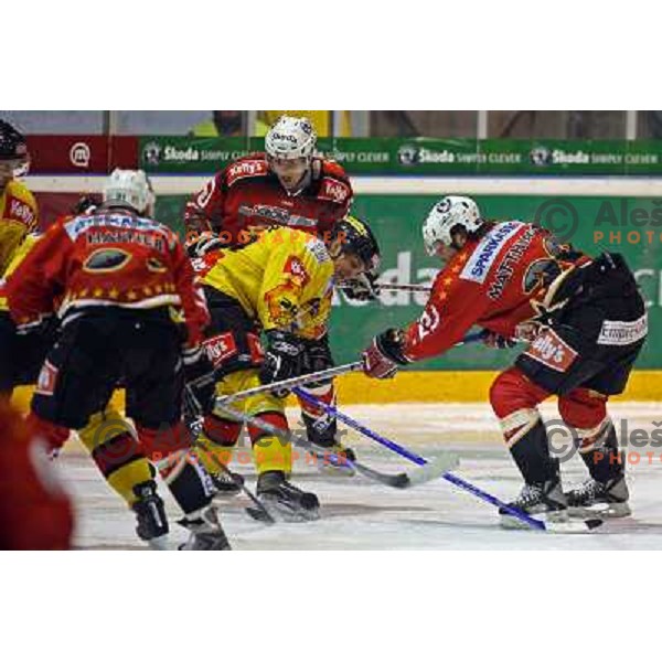 Matthiasson at ice-hoceky match Acroni Jesenice- Vienna capitals in 21st round of Ebel league,played in Jesenice (Slovenia) 16.11.2007. Photo by Ales Fevzer 