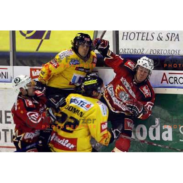 Matthiasson and Rodman brothers at ice-hoceky match Acroni Jesenice- Vienna capitals in 21st round of Ebel league,played in Jesenice (Slovenia) 16.11.2007. Photo by Ales Fevzer 