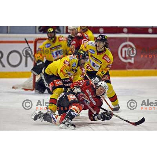 Seeley and Matthiasson at ice-hoceky match Acroni Jesenice- Vienna capitals in 21st round of Ebel league,played in Jesenice (Slovenia) 16.11.2007. Photo by Ales Fevzer 