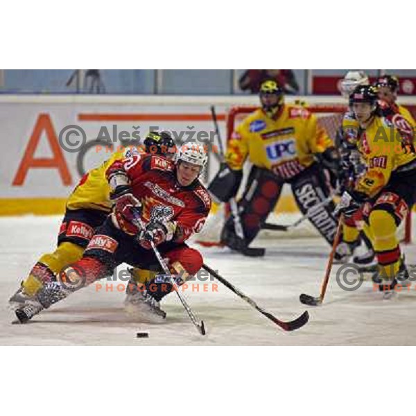 Matthiasson at ice-hoceky match Acroni Jesenice- Vienna capitals in 21st round of Ebel league,played in Jesenice (Slovenia) 16.11.2007. Photo by Ales Fevzer 