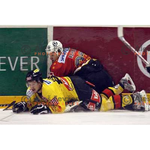 Rebolj at ice-hockey match Acroni Jesenice- Vienna capitals in 21st round of Ebel league,played in Jesenice (Slovenia) 16.11.2007. Photo by Ales Fevzer 