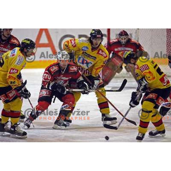 David Rodman at ice-hoceky match Acroni Jesenice- Vienna capitals in 21st round of Ebel league,played in Jesenice (Slovenia) 16.11.2007. Photo by Ales Fevzer 