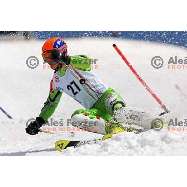 Jecl at slalom race for Slovenian National Championship at Krvavec Ski Resort.Photo by Ales Fevzer 