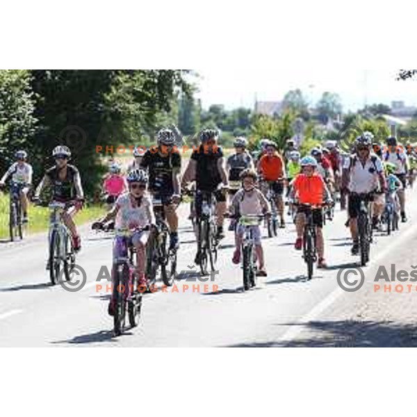 Hofer Family Marathon Franja on 25 km - UCI Gran Fondo event in Ljubljana on June 10, 2017