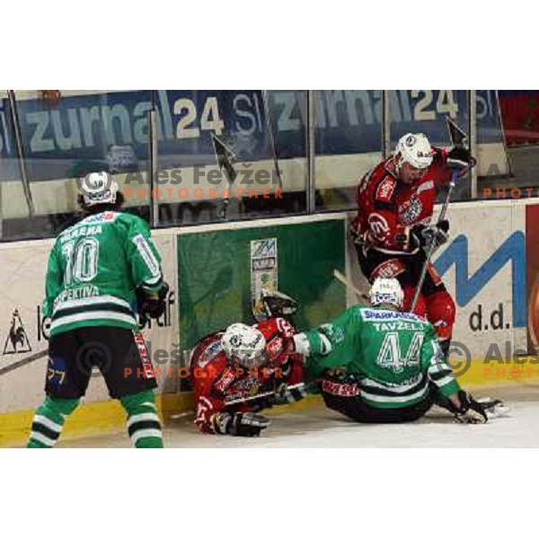 Tavzelj at ice-hoceky match ZM Olimpija-Acroni Jesenice in 22nd round of Ebel league,played in LJUBLJANA (Slovenia) 18.11.2007. Photo by Ales Fevzer 