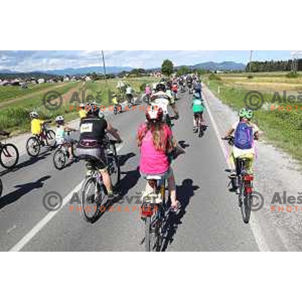 Hofer Family Marathon Franja on 25 km - UCI Gran Fondo event in Ljubljana on June 10, 2017