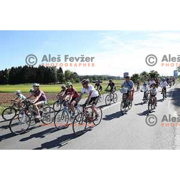 Hofer Family Marathon Franja on 25 km - UCI Gran Fondo event in Ljubljana on June 10, 2017