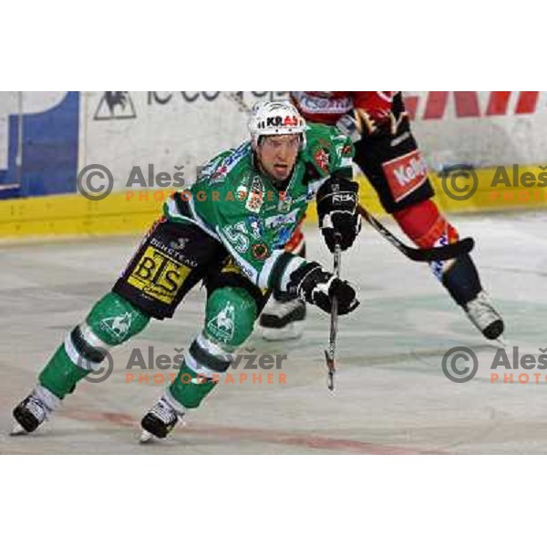 Corupe at ice-hockey match ZM Olimpija-Acroni Jesenice in 22nd round of Ebel league,played in LJUBLJANA (Slovenia) 18.11.2007. Photo by Ales Fevzer 