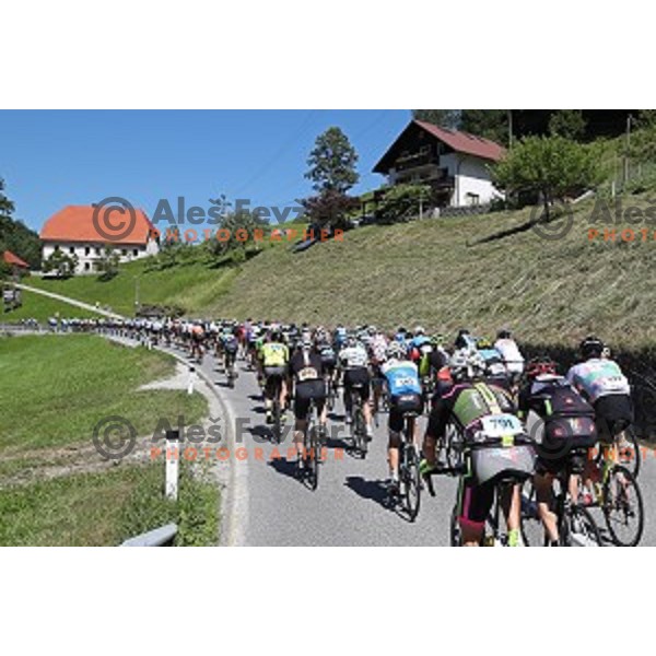 Marathon Franja UCI Gran Fondo World Tour 156 km, Ljubljana , Slovenia on June 11, 2017