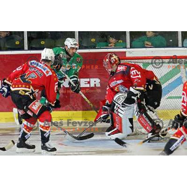 Pretnar, Intranuovo and Hocevar at ice-hockey match ZM Olimpija-Acroni Jesenice in 22nd round of Ebel league,played in LJUBLJANA (Slovenia) 18.11.2007. Photo by Ales Fevzer 