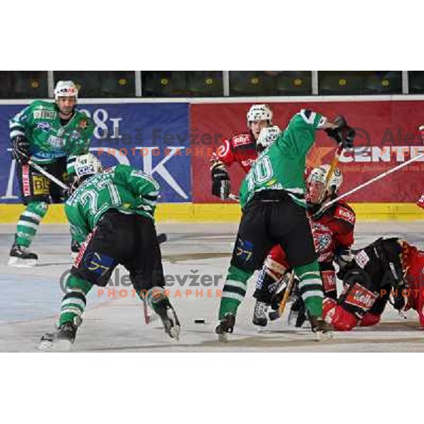 Mc Carthy at ice-hockey match ZM Olimpija-Acroni Jesenice in 22nd round of Ebel league,played in LJUBLJANA (Slovenia) 18.11.2007. Photo by Ales Fevzer 