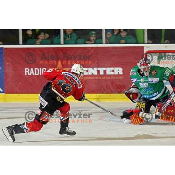 Healey at ice-hockey match ZM Olimpija-Acroni Jesenice in 22nd round of Ebel league,played in LJUBLJANA (Slovenia) 18.11.2007. ZM Olimpija won 5:4 after shot-out. Photo by Ales Fevzer 