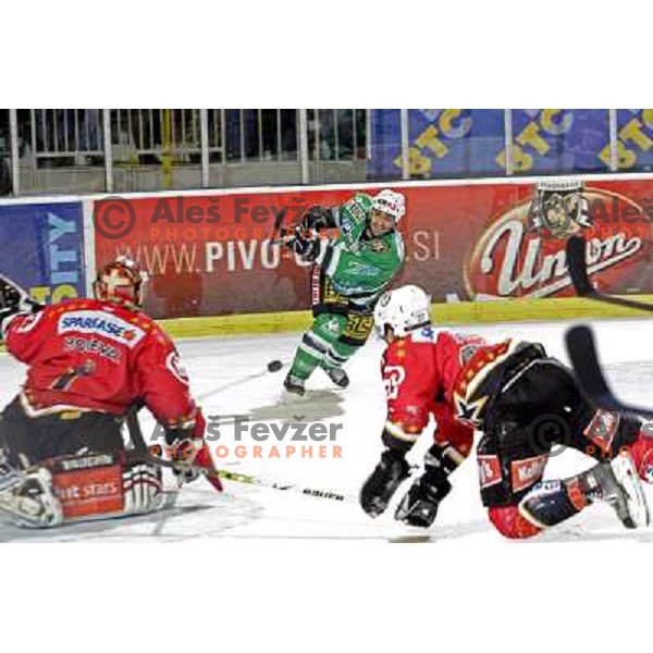 Intranuovo scores his third goal at ice-hockey match ZM Olimpija-Acroni Jesenice in 22nd round of Ebel league,played in LJUBLJANA (Slovenia) 18.11.2007. ZM Olimpija won 5:4 after shot-out. Photo by Ales Fevzer 