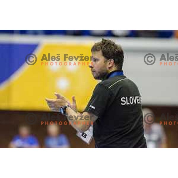 Slovenia’s head coach Uros Bregar reacting during Women’s World Cup qualification handball match between Slovenia and Croatia in Golovec Hall, Celje on June 15th, 2017