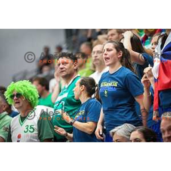 Fans of team Slovenia in action during basketball match between Slovenia and France at European Women Basketball Championship 2017, played in Arena Kralovka, Prague, Czech Republic on June 16, 2017