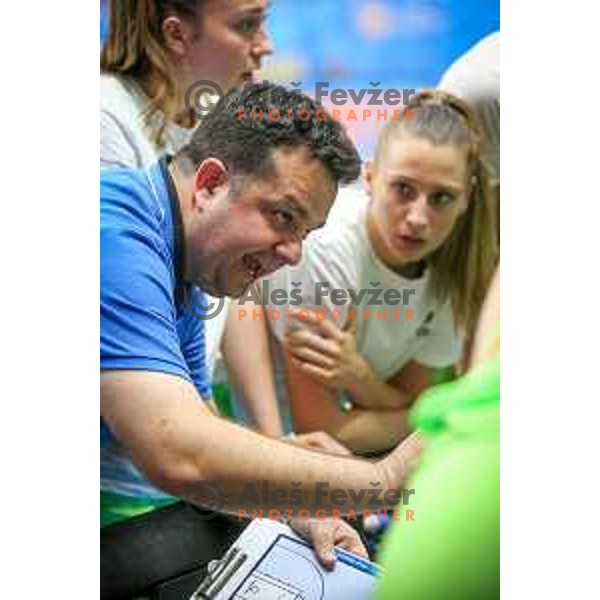 Damir Grgic, head coach of team Slovenia during basketball match between Slovenia and France at European Women Basketball Championship 2017, played in Arena Kralovka, Prague, Czech Republic on June 16, 2017
