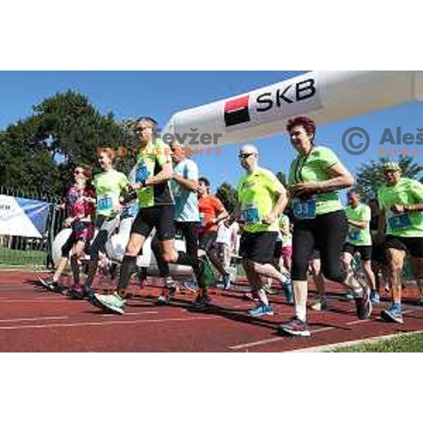 Final event of Moja Norma 2017 Campaign at Kodeljevo, Ljubljana, Slovenia on June 18, 2017