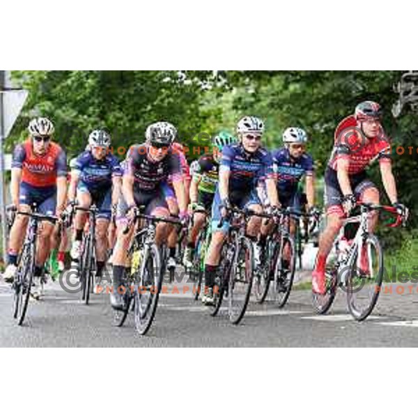 David Per ( left) at Slovenian National Road Race Championship in Kranj on June 25, 2017